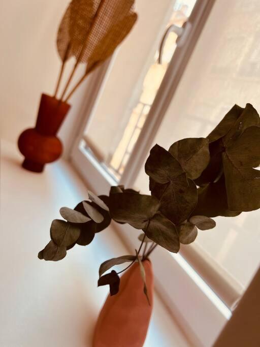 סן-אטיין Appartement Cosy Centre-Ville מראה חיצוני תמונה