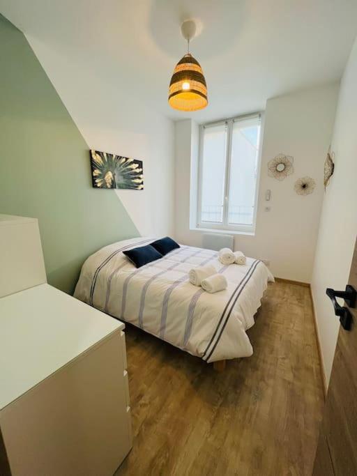סן-אטיין Appartement Cosy Centre-Ville מראה חיצוני תמונה